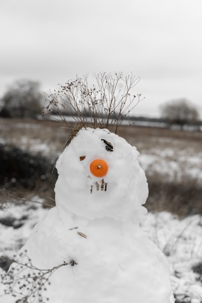 白色雪人，橘黄色圆形水果